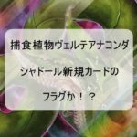 捕食植物ヴェルテアナコンダから読み取れるシャドール新規